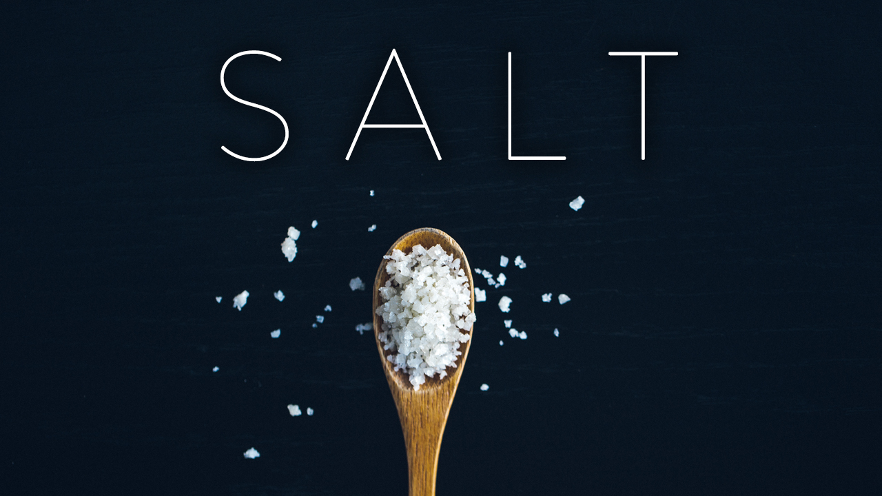 Salt (Standalone Sermon)